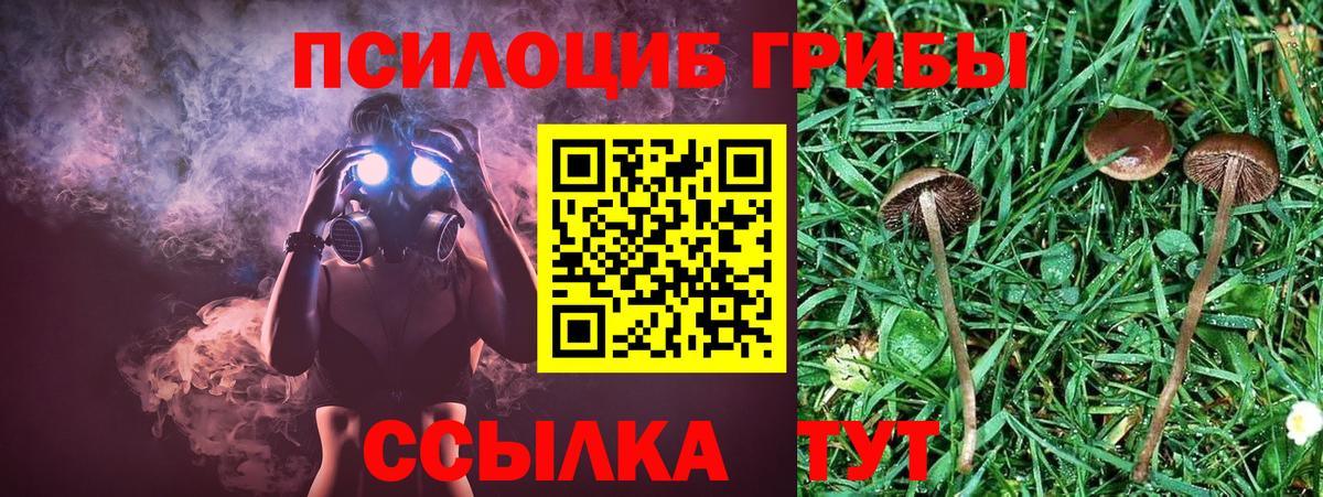 Псилоцибиновые грибы прущие грибы  купить наркотики сайты  Ачинск  Вход с VPN 