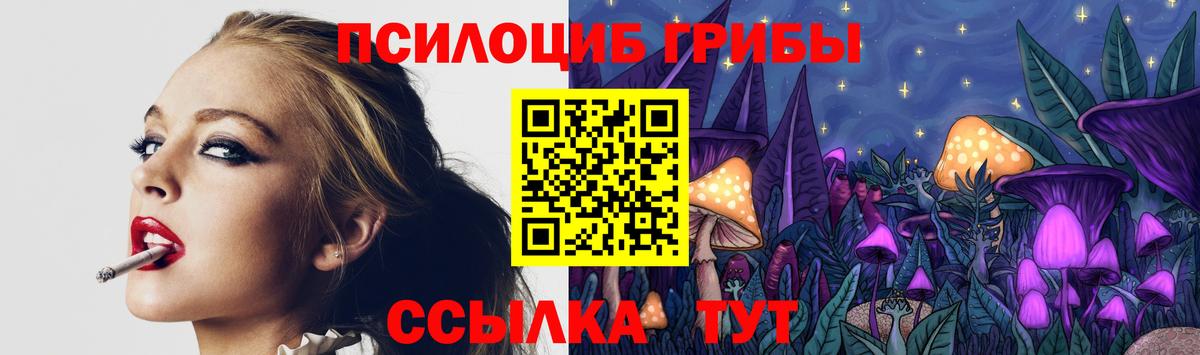 Псилоцибиновые грибы мицелий Ачинск